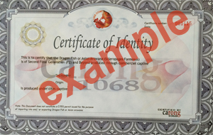 Certificate chính thức của carong1068